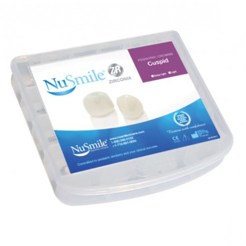 견치부 Kit (Cuspid)(20개)