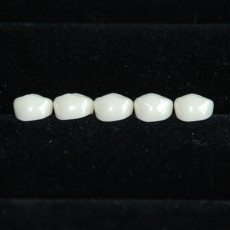 1구치부D(Refill 1Pack/5개)