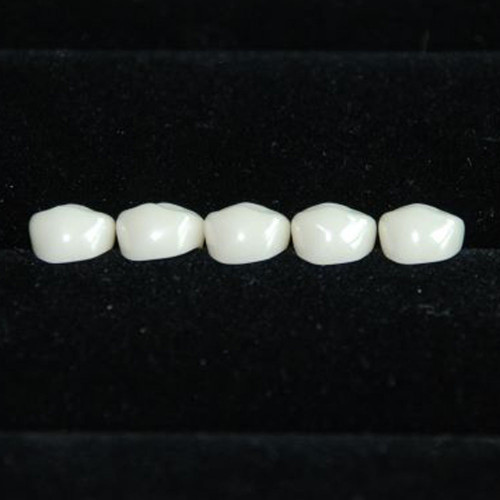 1구치부D(Refill 1Pack/5개)