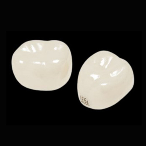 2구치부(2nd Molar): 낱개