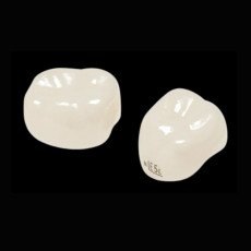 2구치부(Narrow):낱개