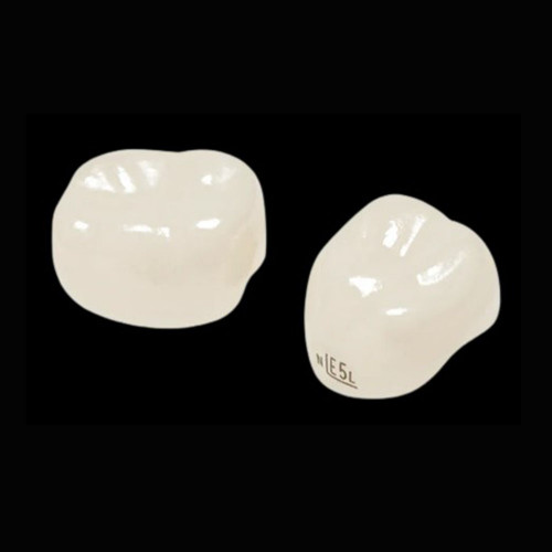 2구치부(Narrow):낱개